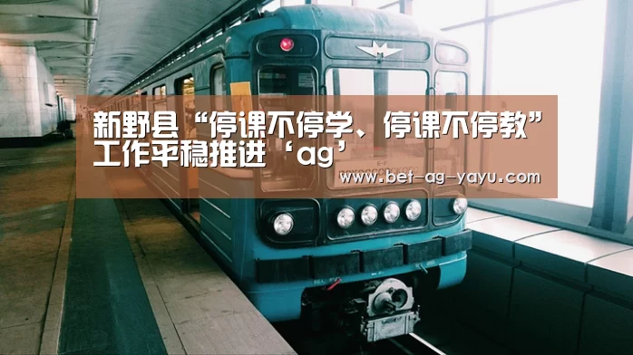新野县“停课不停学、停课不停教”工作平稳推进‘ag’(图1) 亚娱