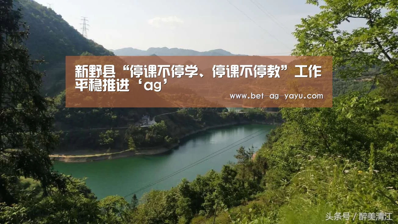 新野县“停课不停学、停课不停教”工作平稳推进‘ag’(图4) ag官网
