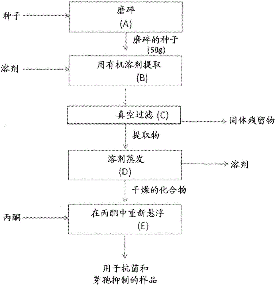 ag|山东政协委员建议:制定人才支持战略 推动职业本科教育全面发展(图1) ag|山东政协委员建议:制定人才支持战略 推动职业本科教育全面发展(图1)