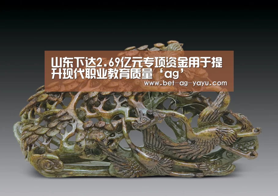 山东下达2.69亿元专项资金用于提升现代职业教育质量‘ag’(图1) ag官网